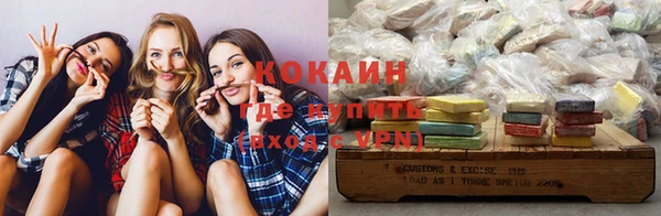 шишки Сатка