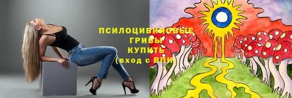 таблы Алексеевка