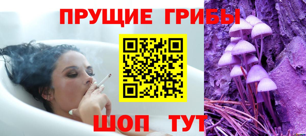Псилоцибиновые грибы Cubensis  Вход с VPN  Балабаново 