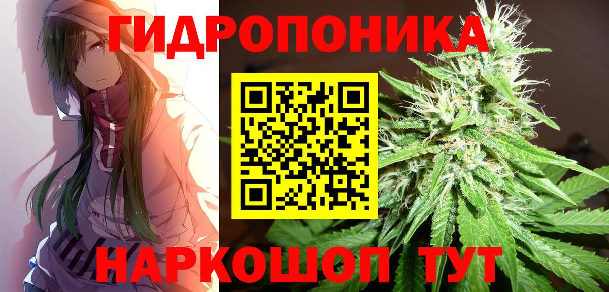 Шишки марихуана Bruce Banner  Канабис VHQ  Канабис сатива  Балабаново  Каннабис сатива  Вход с VPN 